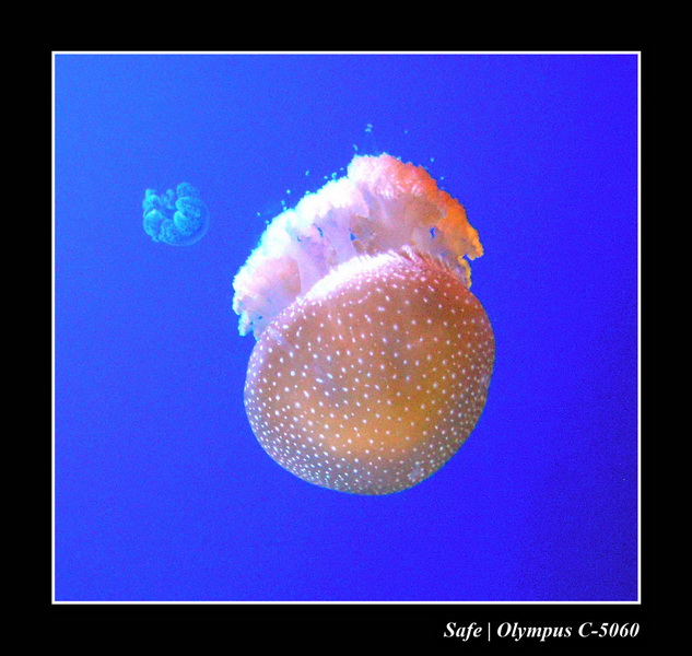 2005 - 06 - Sentosa island 03.JPG